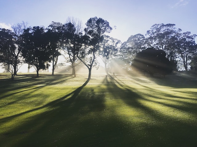 早朝のゴルフ場